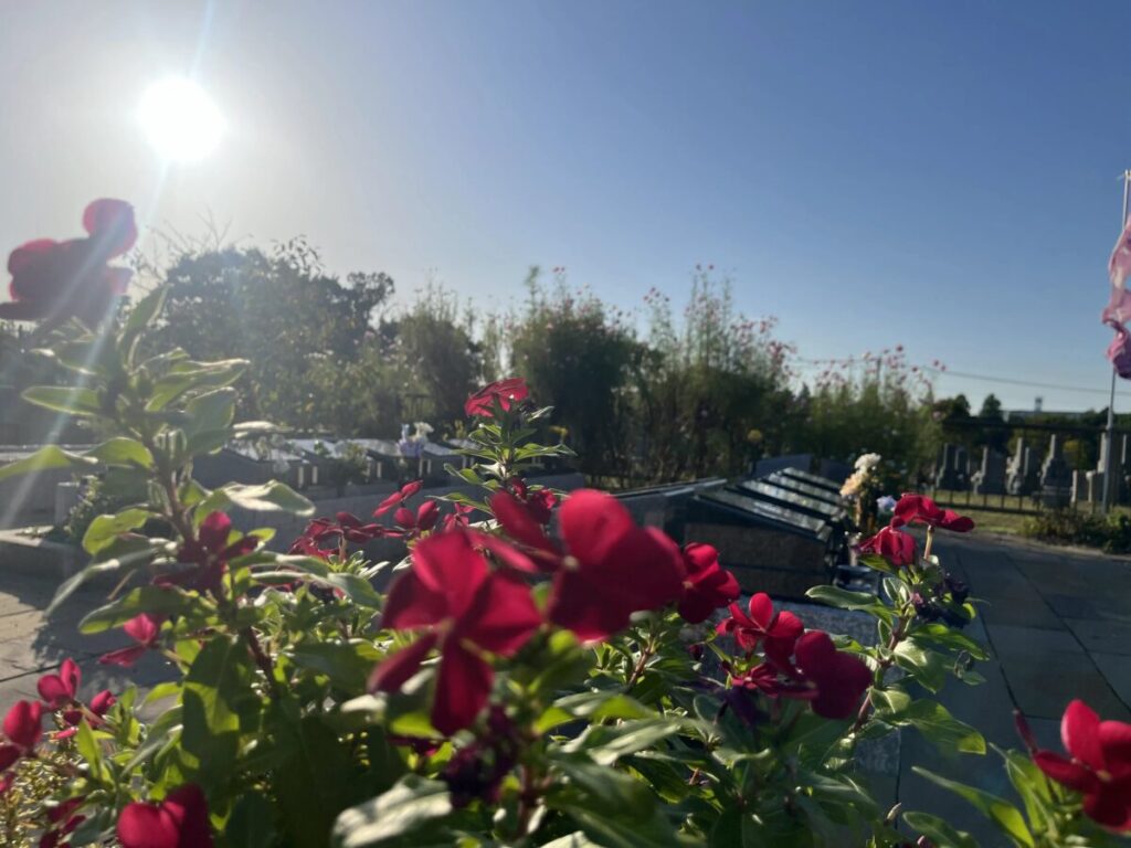 朝の光に照らされた緑の丘の庭園墓と花